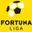 Nike Liga