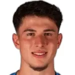 Denis Milic