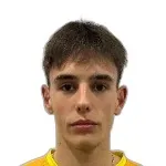 Tin Došen