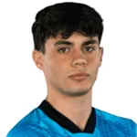 Daniel Darzi