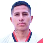 Fernando Pavia Mamani Luis