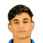 Mohamed Zidan