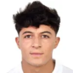 Sergio Armando Aguayo Castillo