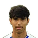 Damian van Dijk