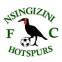 Nsingizini Hotspurs